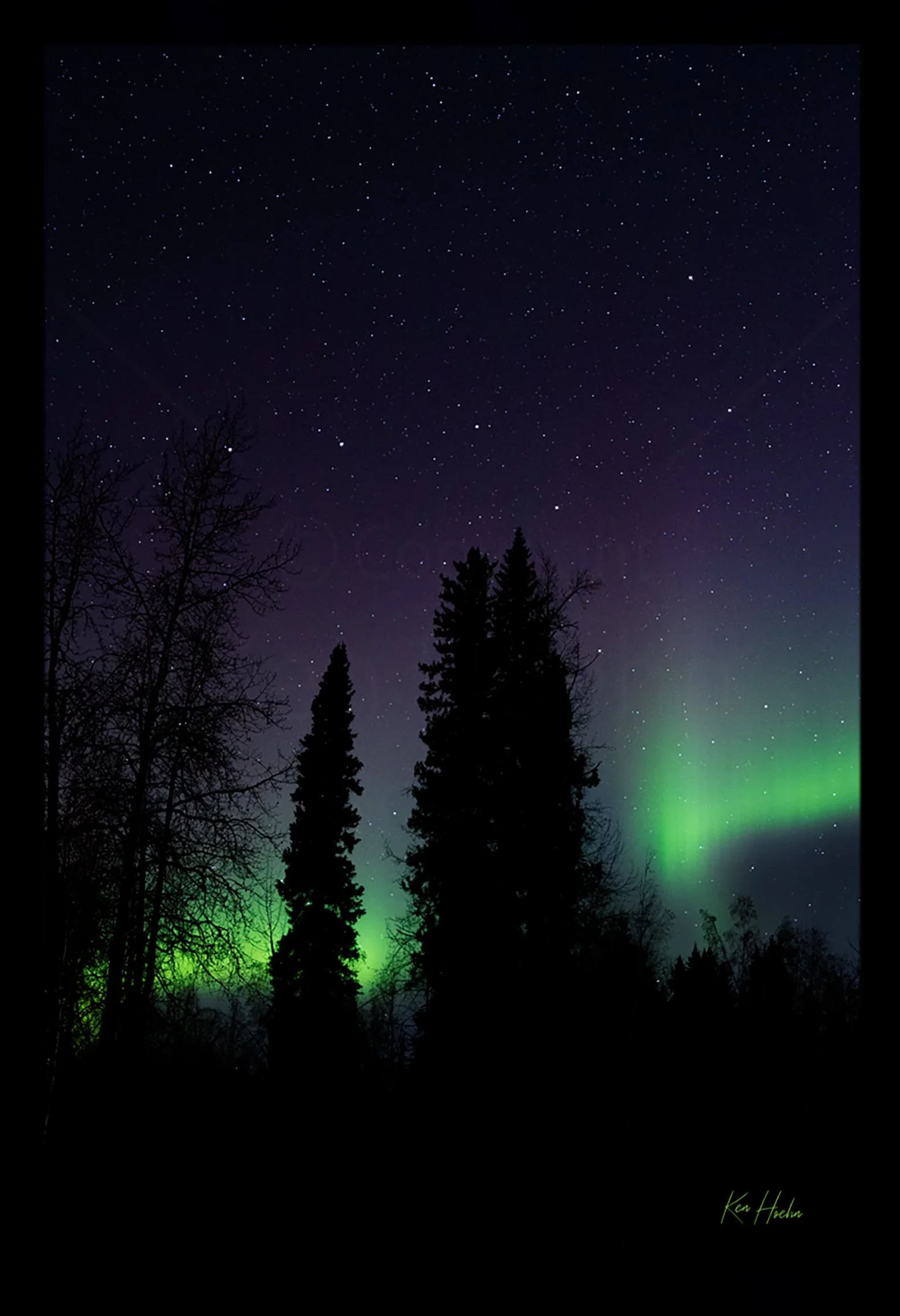 The True North FR 01.jpg