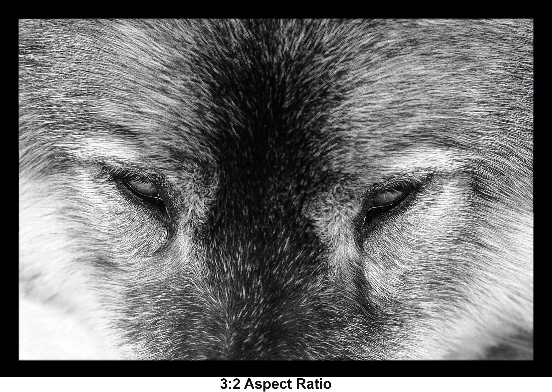 Framed Target Acquired 3to2 with Aspect.png