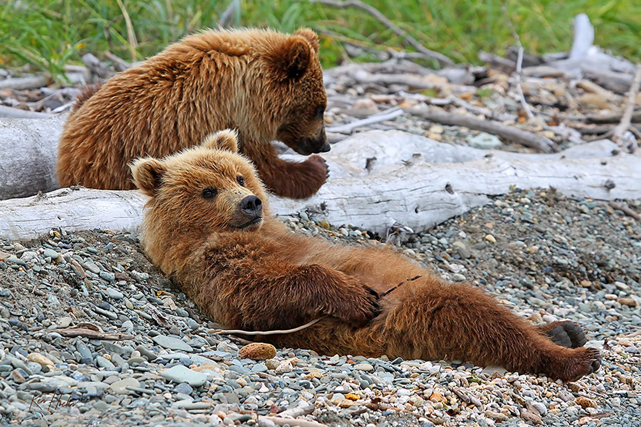 Afternoon Downtime.jpg