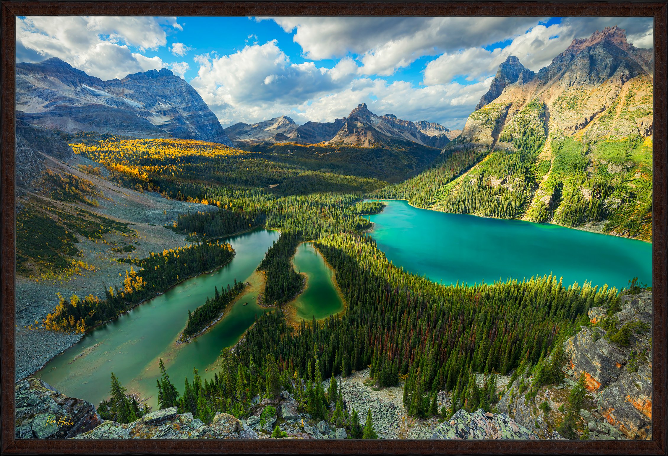 Light in the Valley.jpg