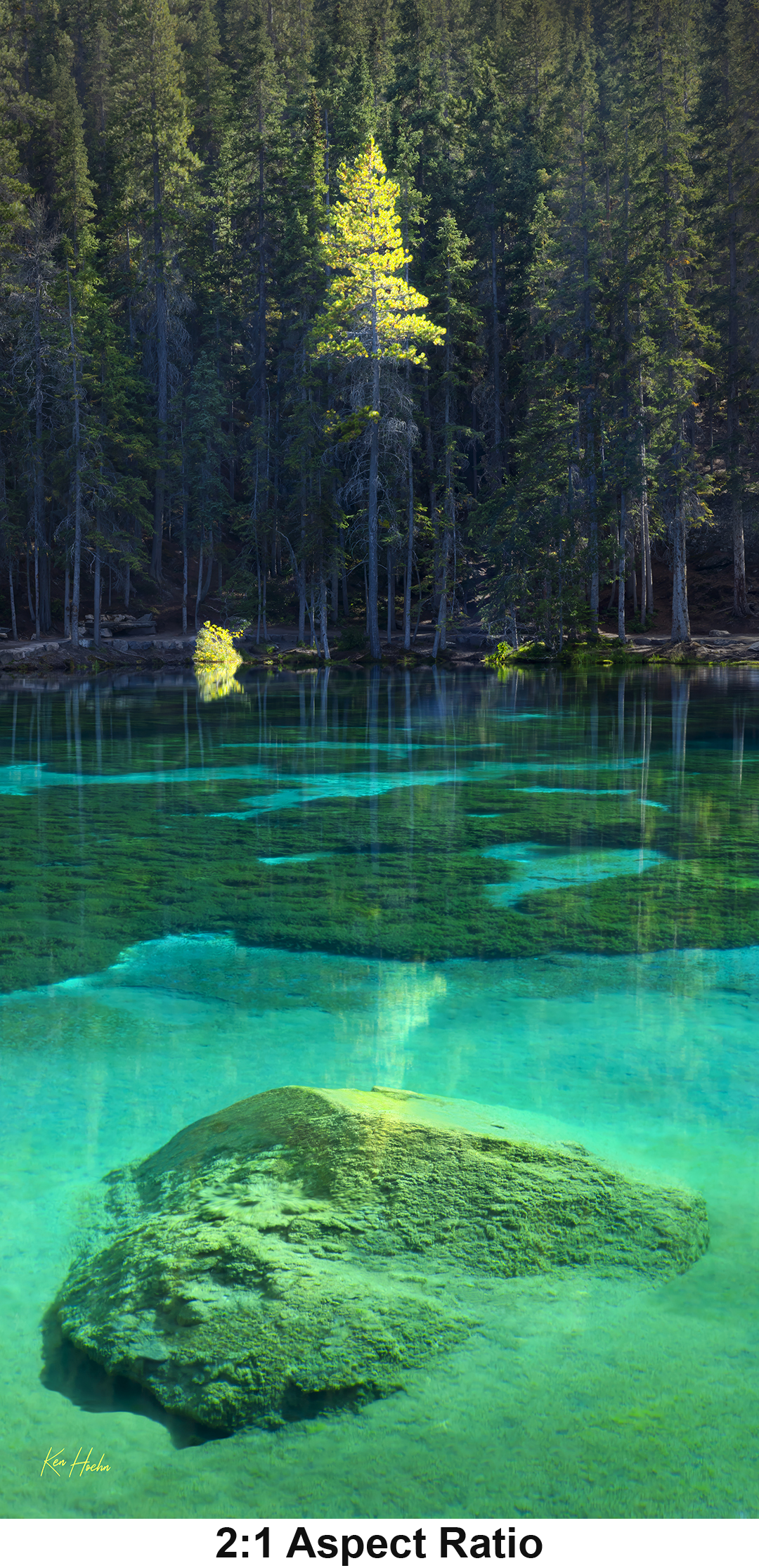 Unframed Essence 2 to 1 with Aspect.png