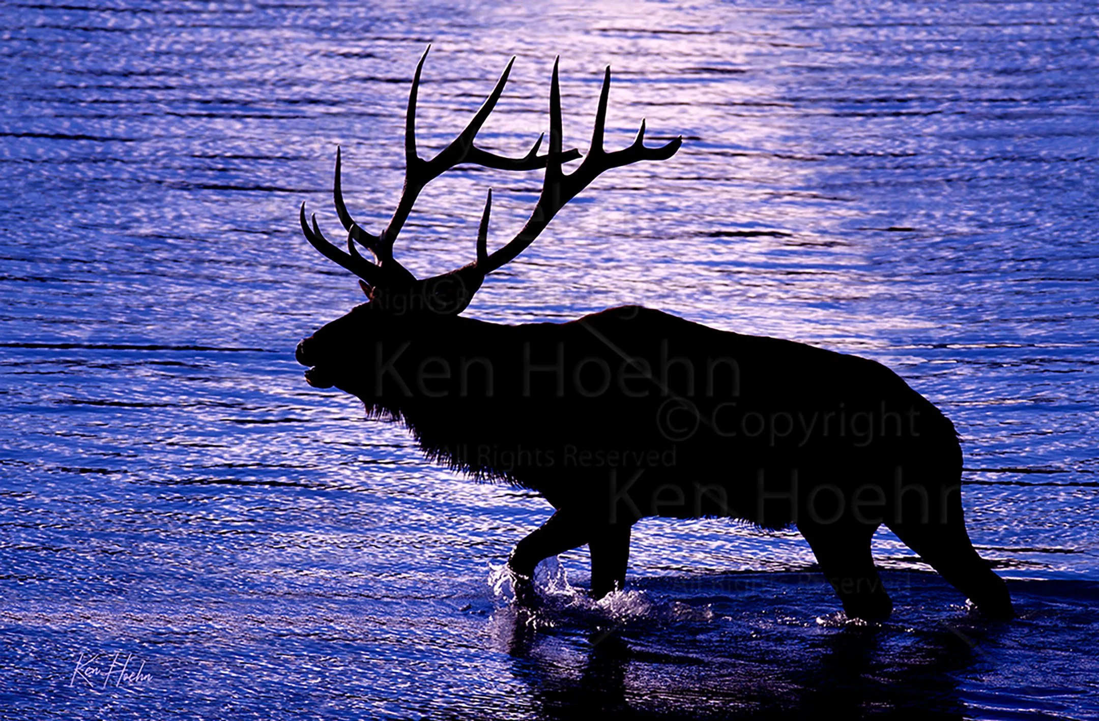 Moonlight on the Miette Unframed.jpg