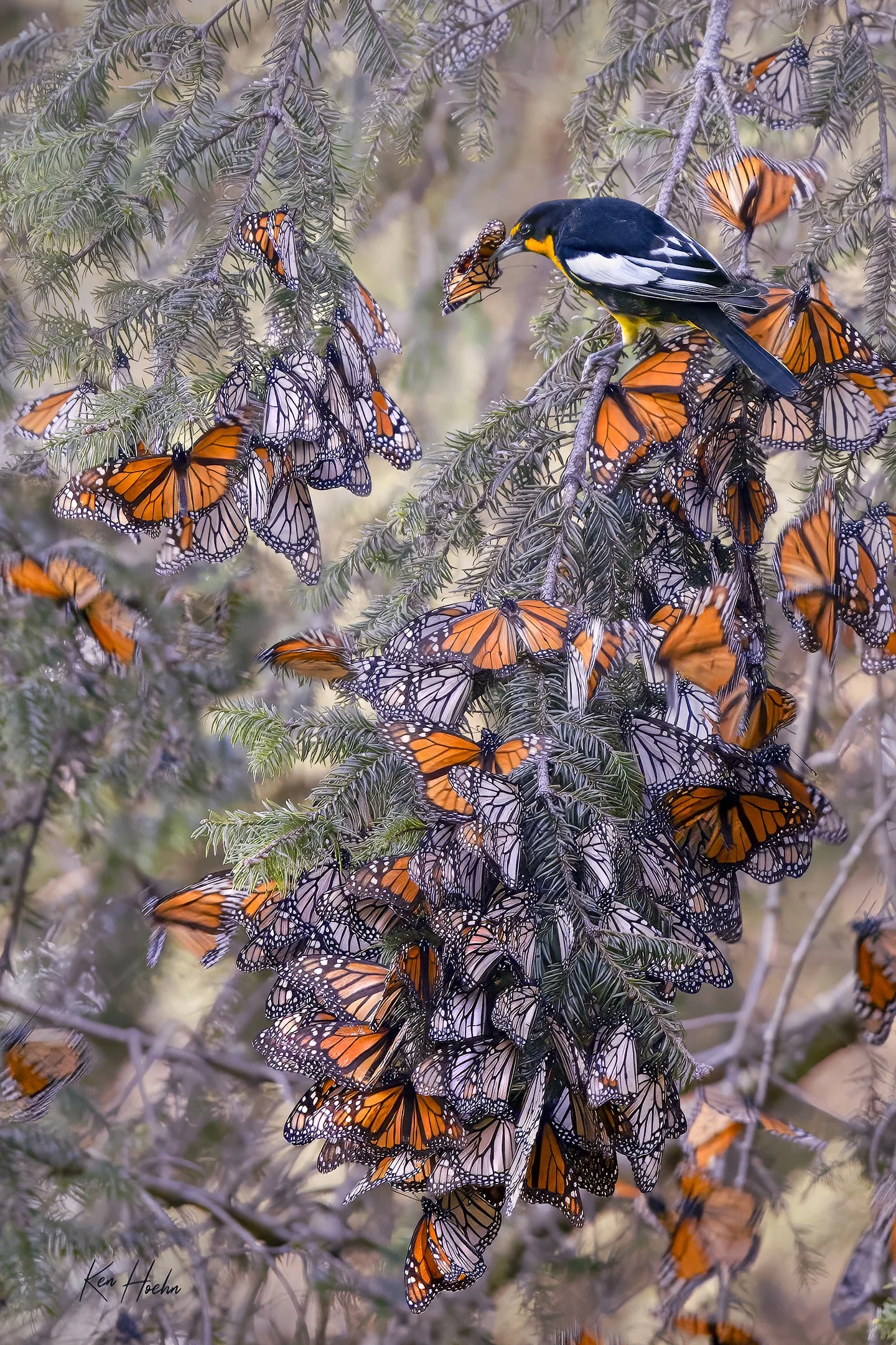 Traffic Stop Unframed.jpg