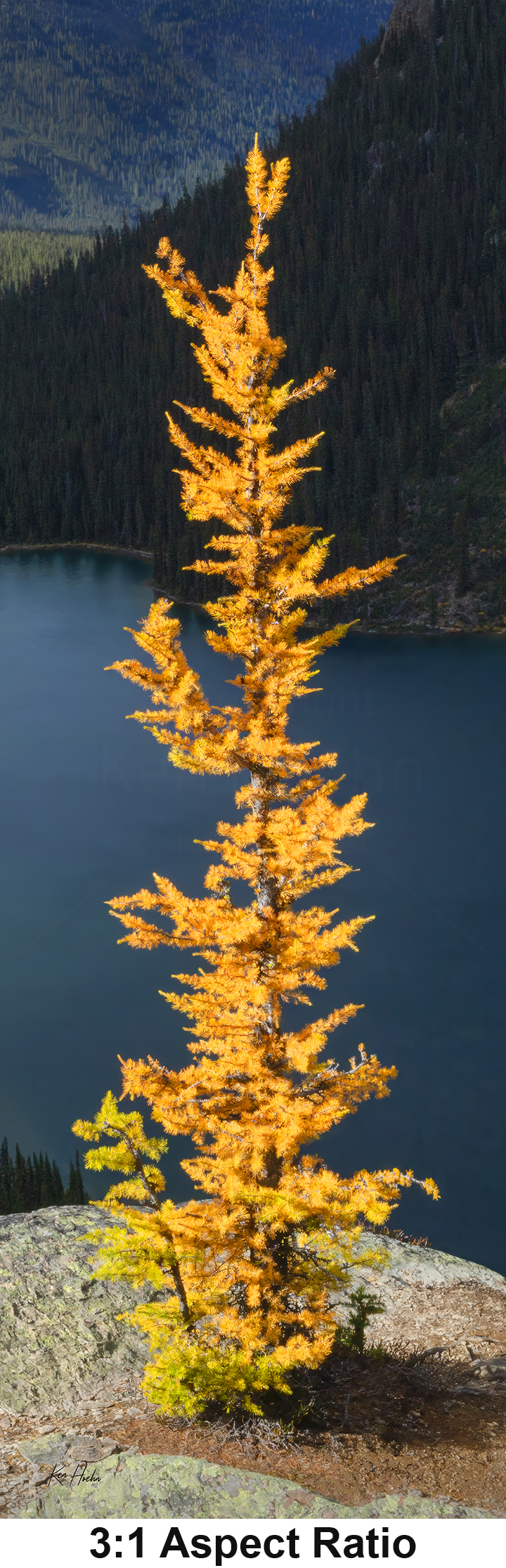 Unframed Hope 3 to 1 with Aspect.png