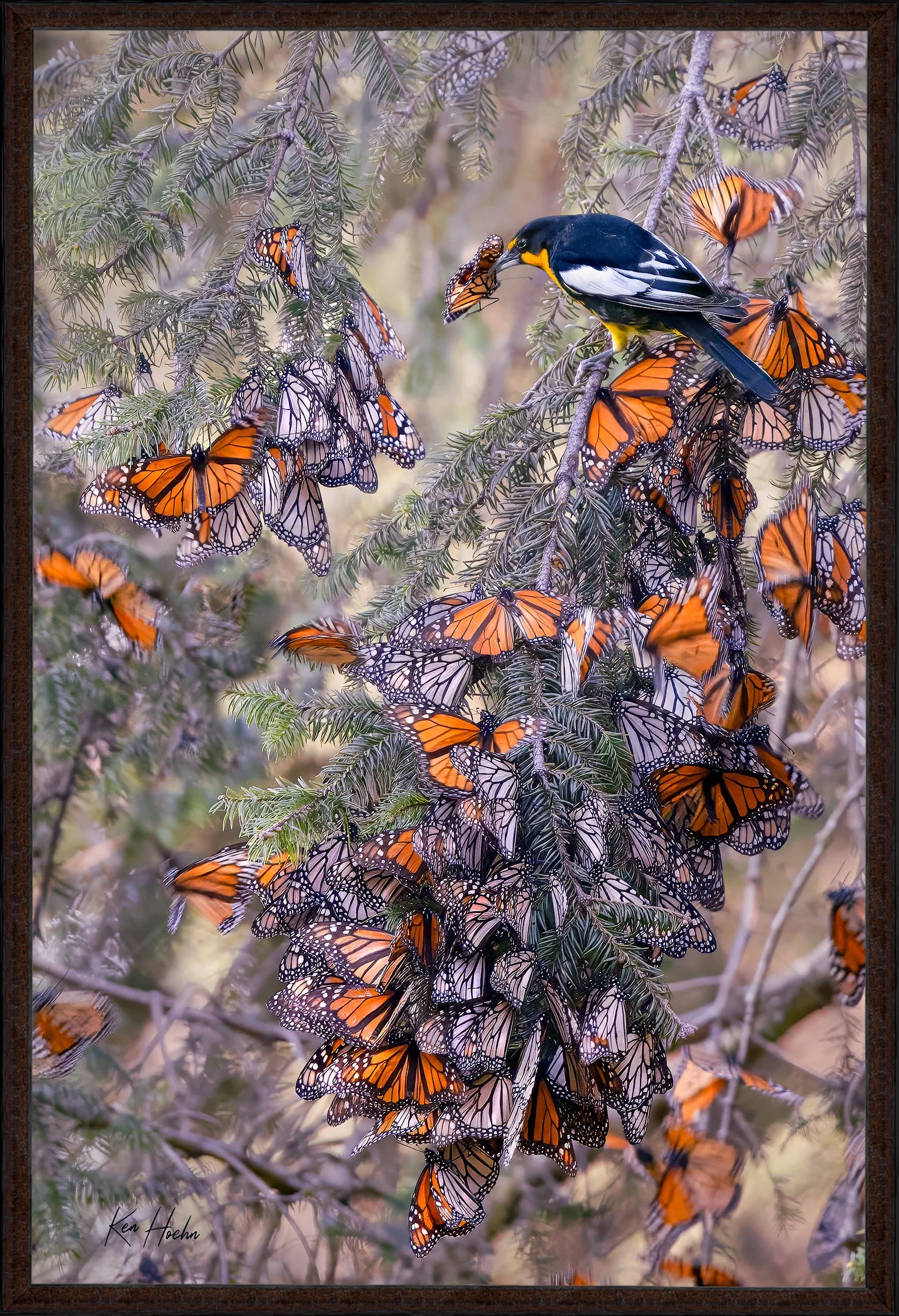 Traffic Stop Framed.jpg
