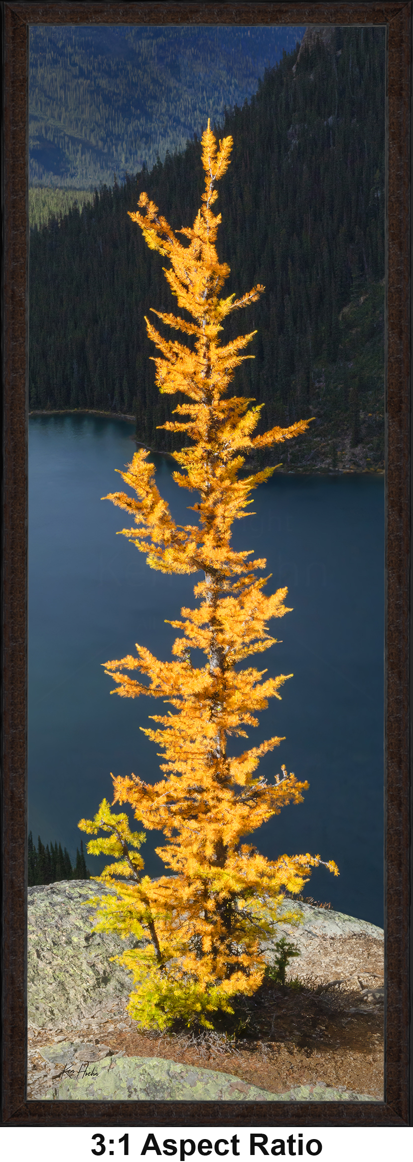 Framed Hope 3 to 1 with Aspect.png