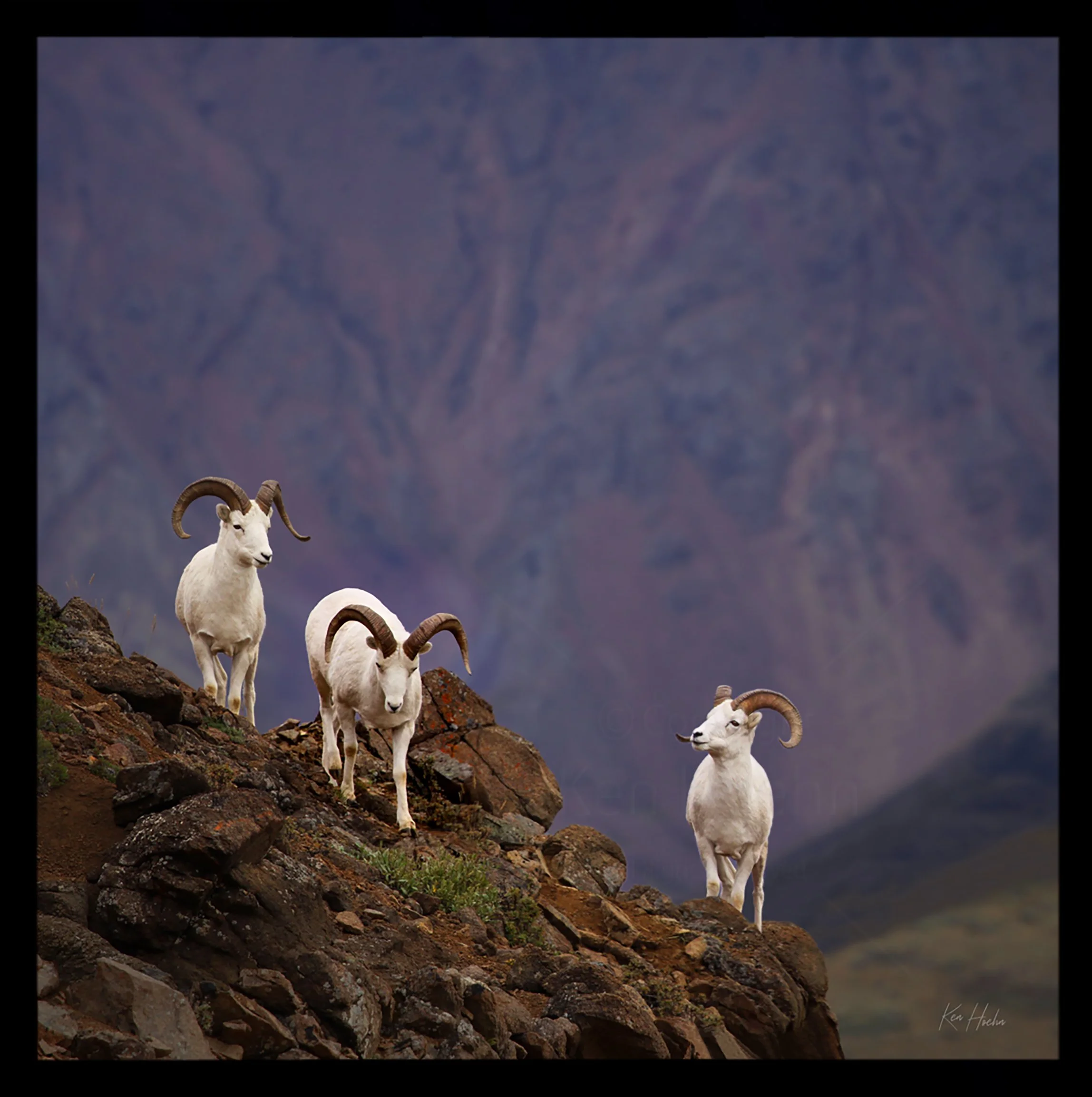 Friends in High Places Framed 01.jpg