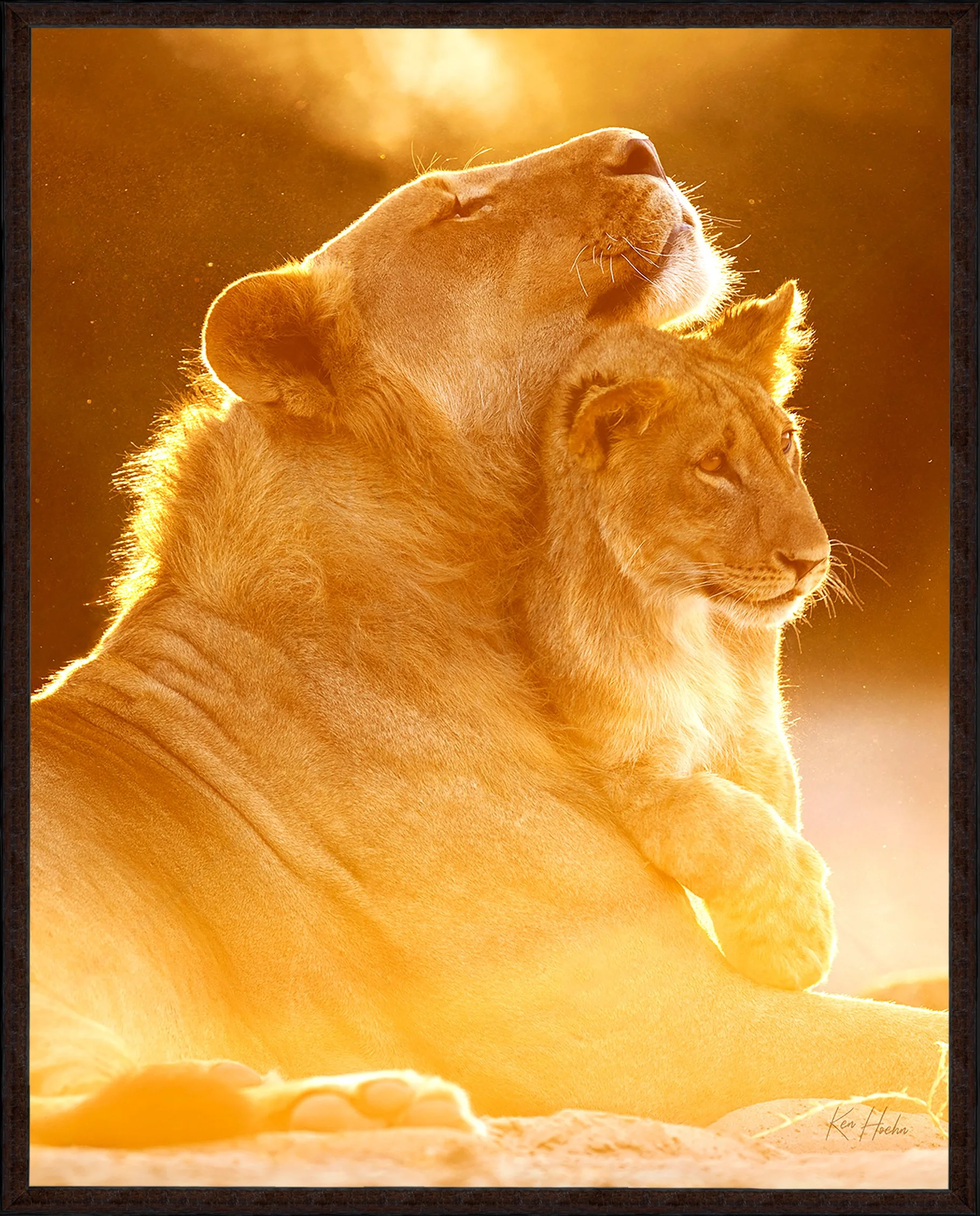 You are My Son Framed 87.jpg