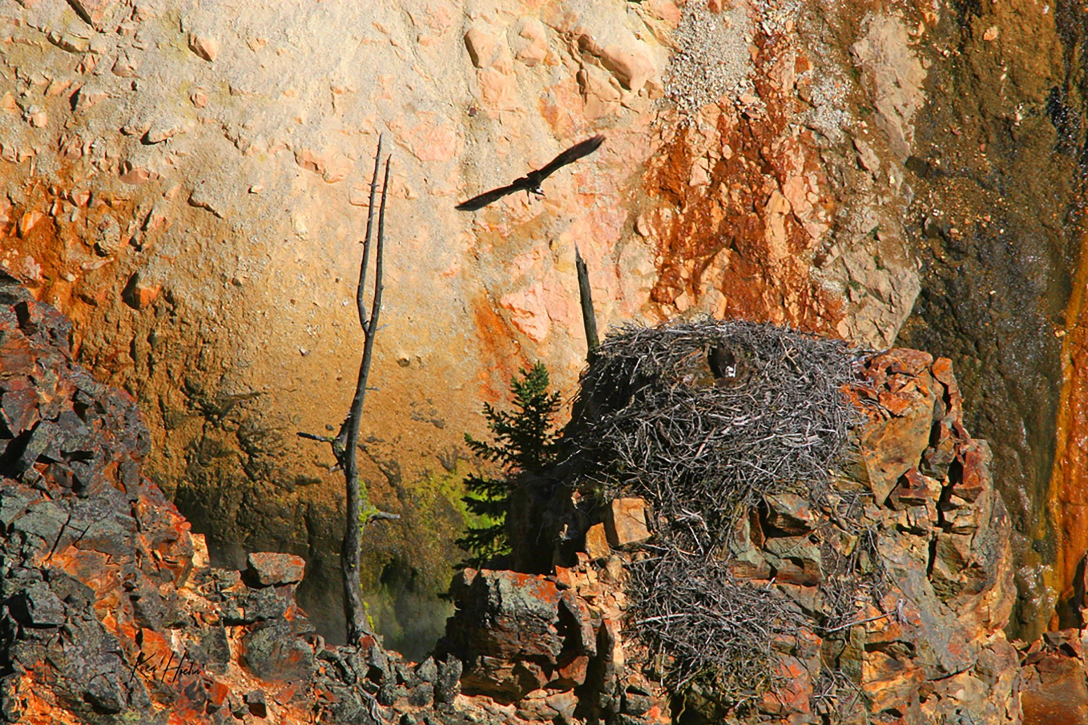 A Place in the Canyon Unframed.jpg