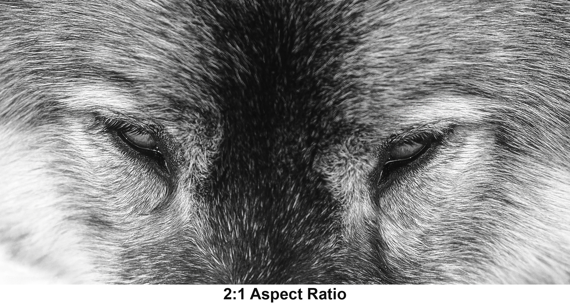 Unframed Target Acquired 2to1 with aspect.png