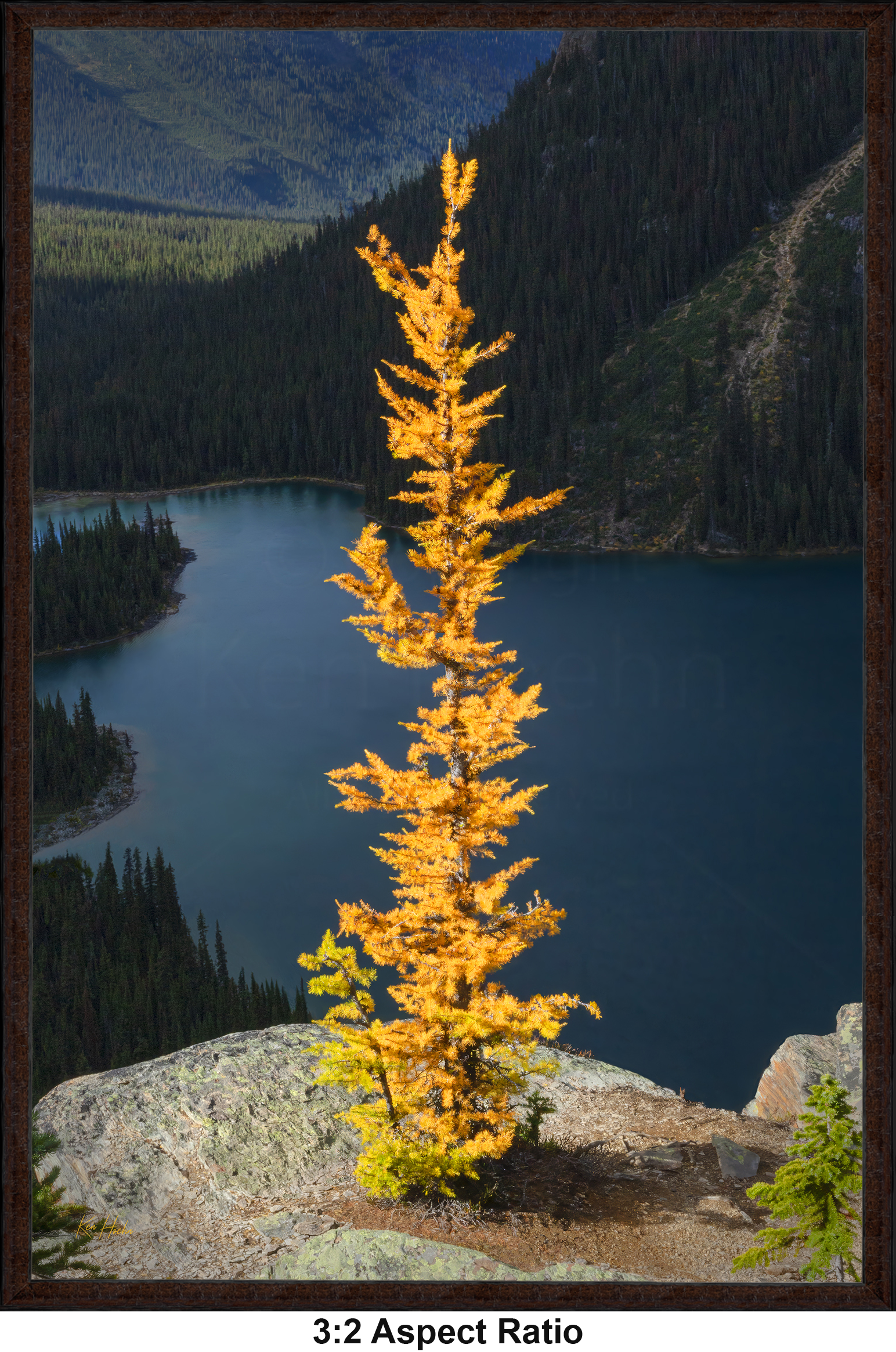 Framed Hope 3 to 2 with Aspect .png