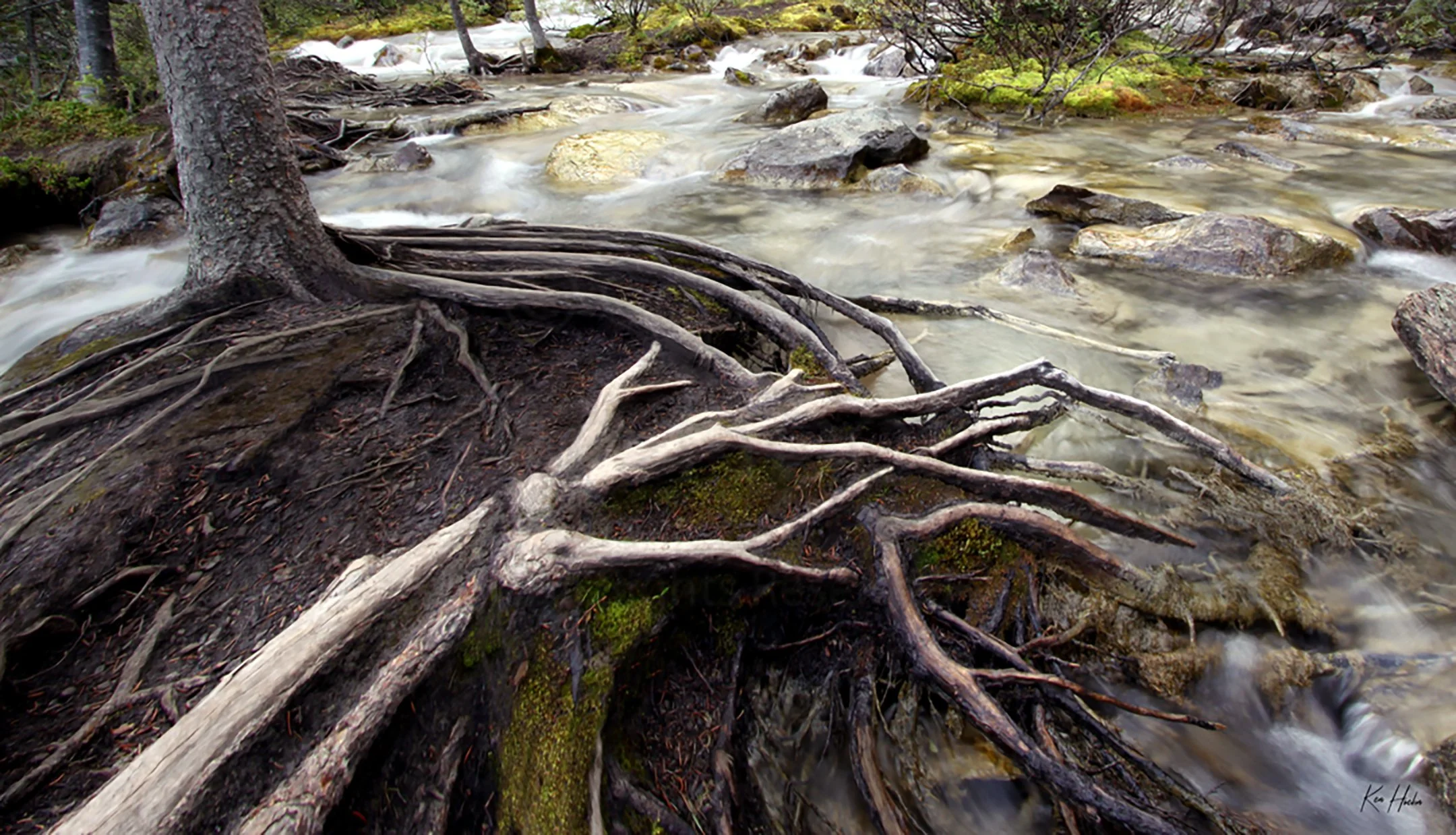 Approaching Happy Camp Unframed.jpg