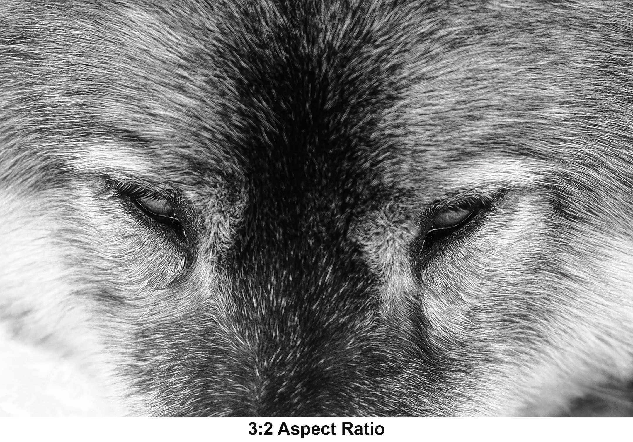 Unframed Target Acquired 3to2 with Aspect.png