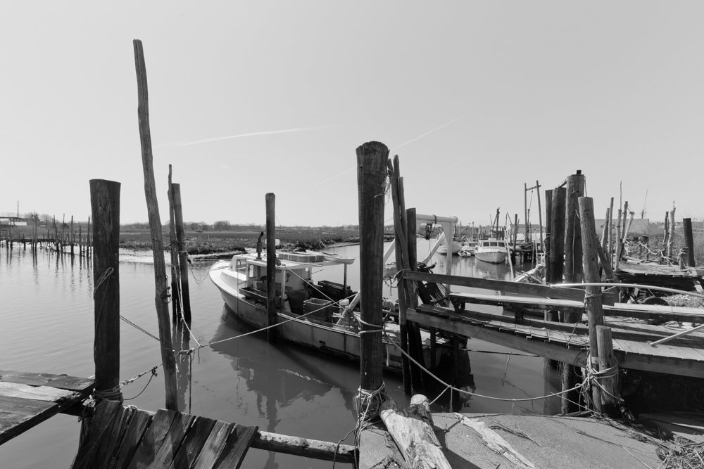 IMG_8715.jpg