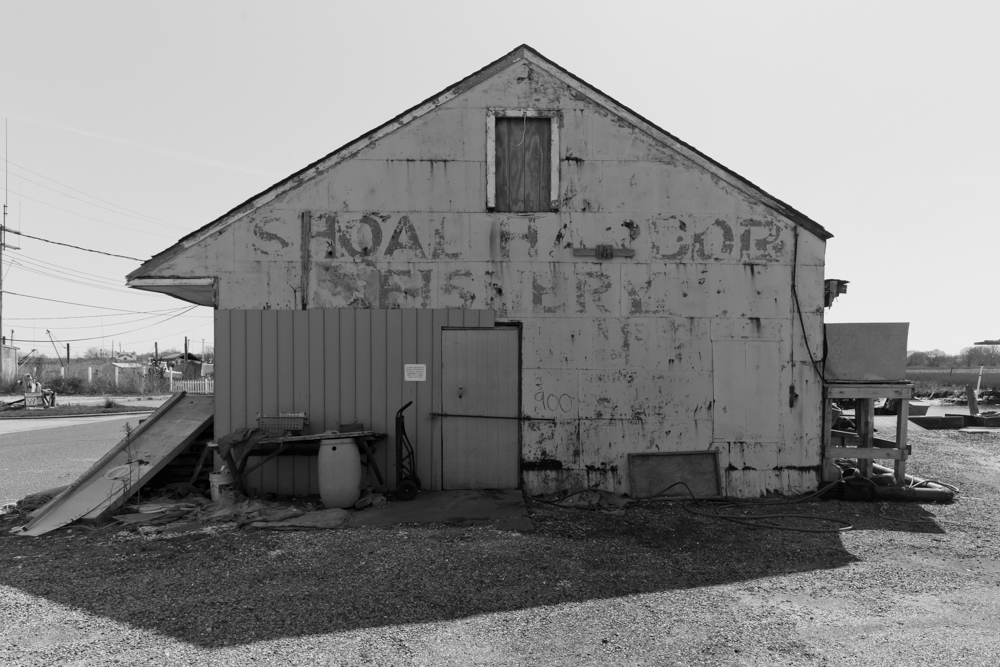 IMG_8728-Edit.jpg