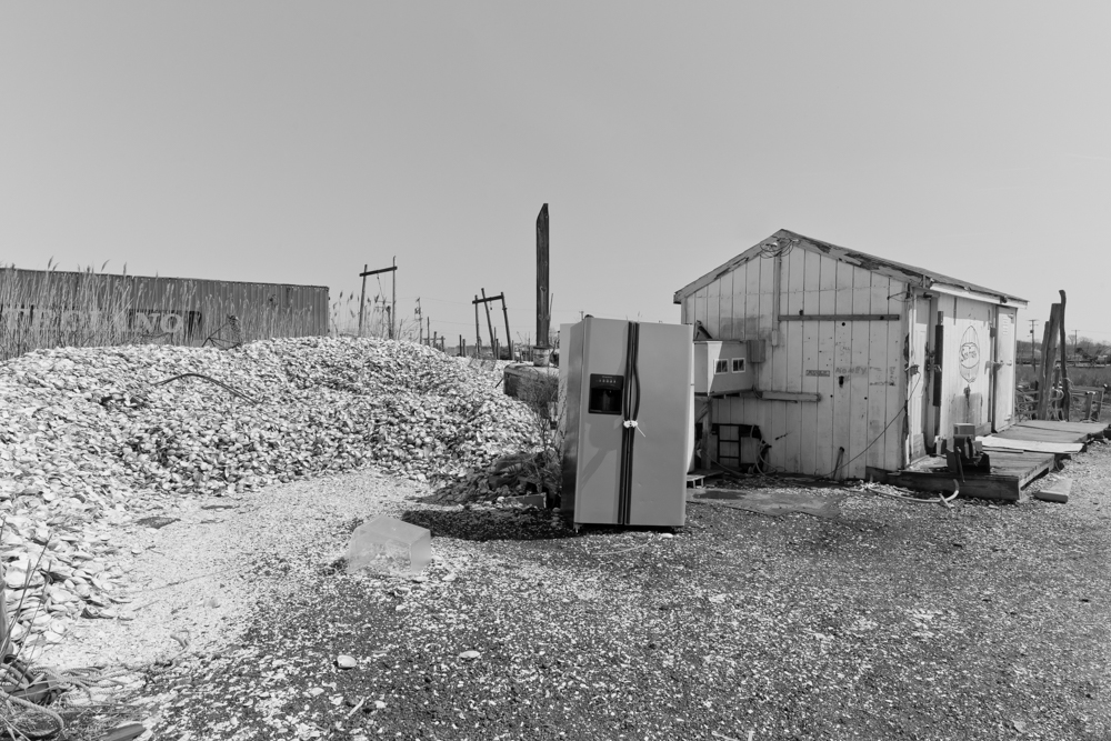 IMG_8746-Edit.jpg