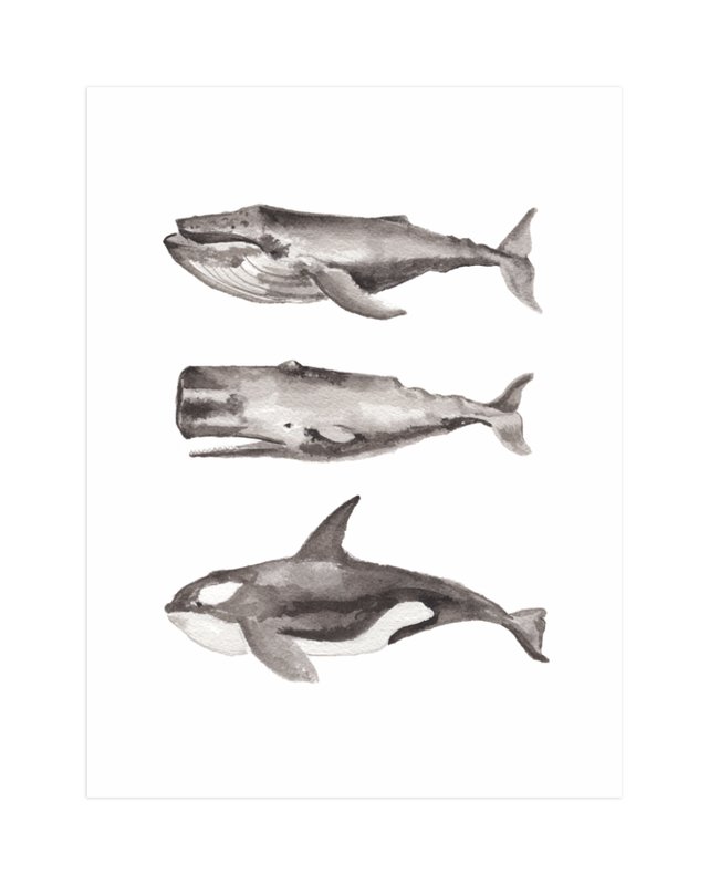 threestackedwhales.jpg