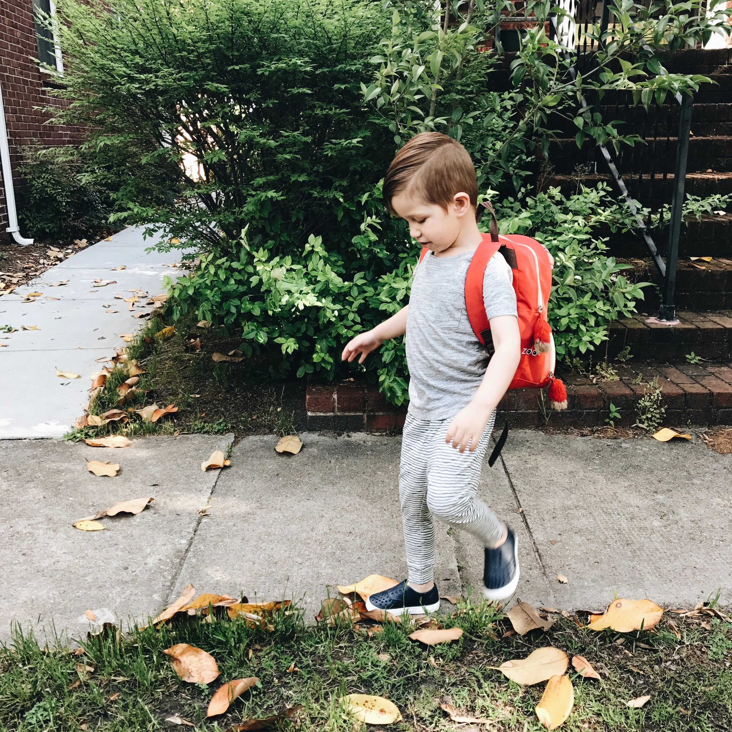 questions with my ollie