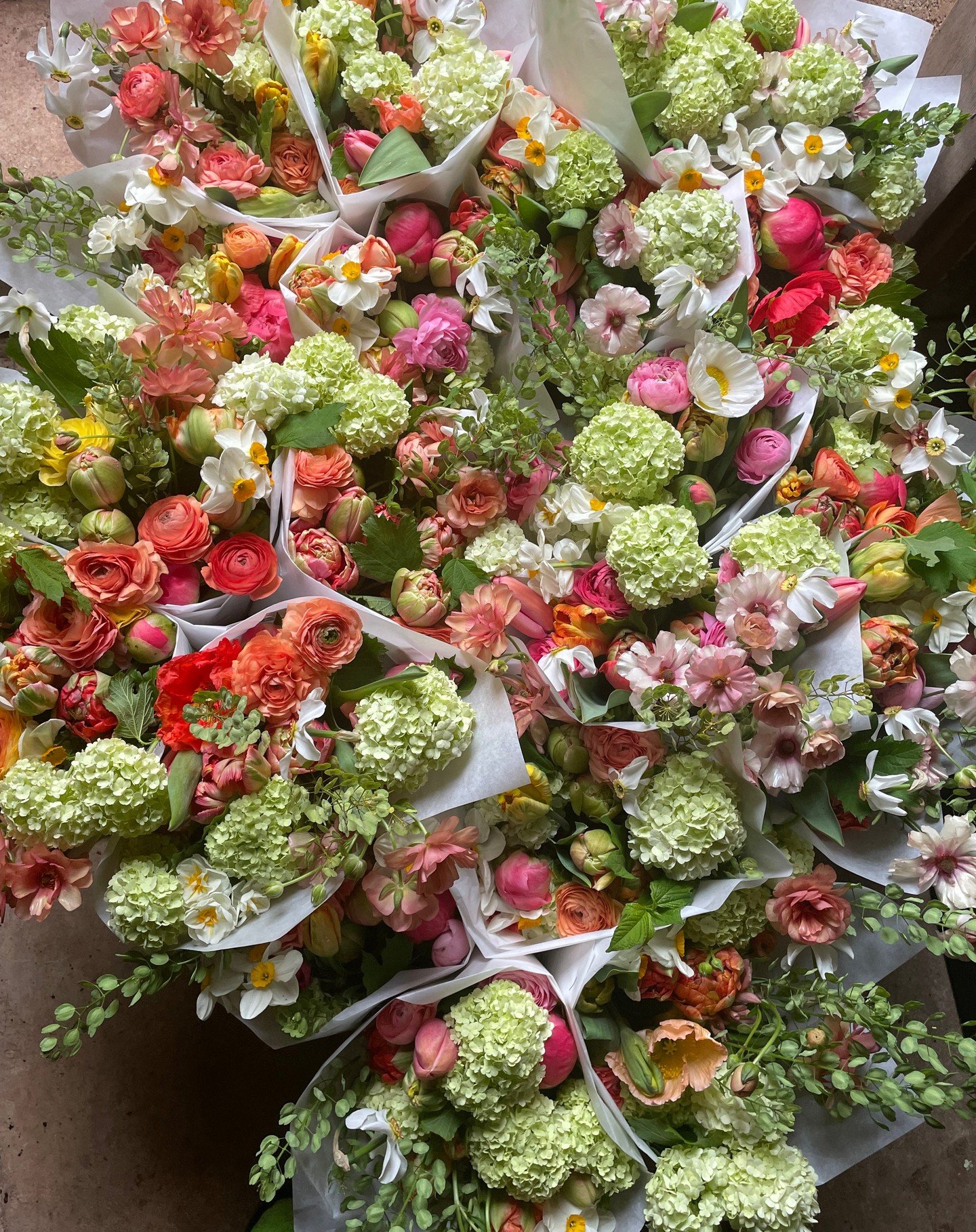 Mother's Day premium bouquets still available for pre-order. 100% farm grown! Lots of colors to choose from. There will be some extras available for walk-ups at Chestnut Hill, but if you are local to Trappe and want one, pre-order is a must. There wi