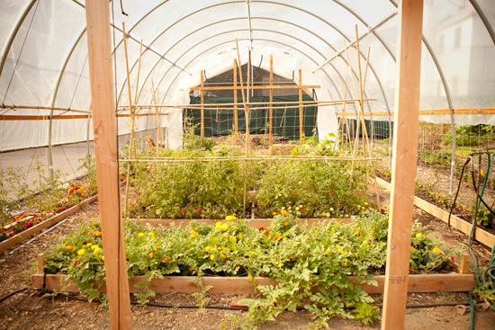 Edible Schoolyard Celebrates