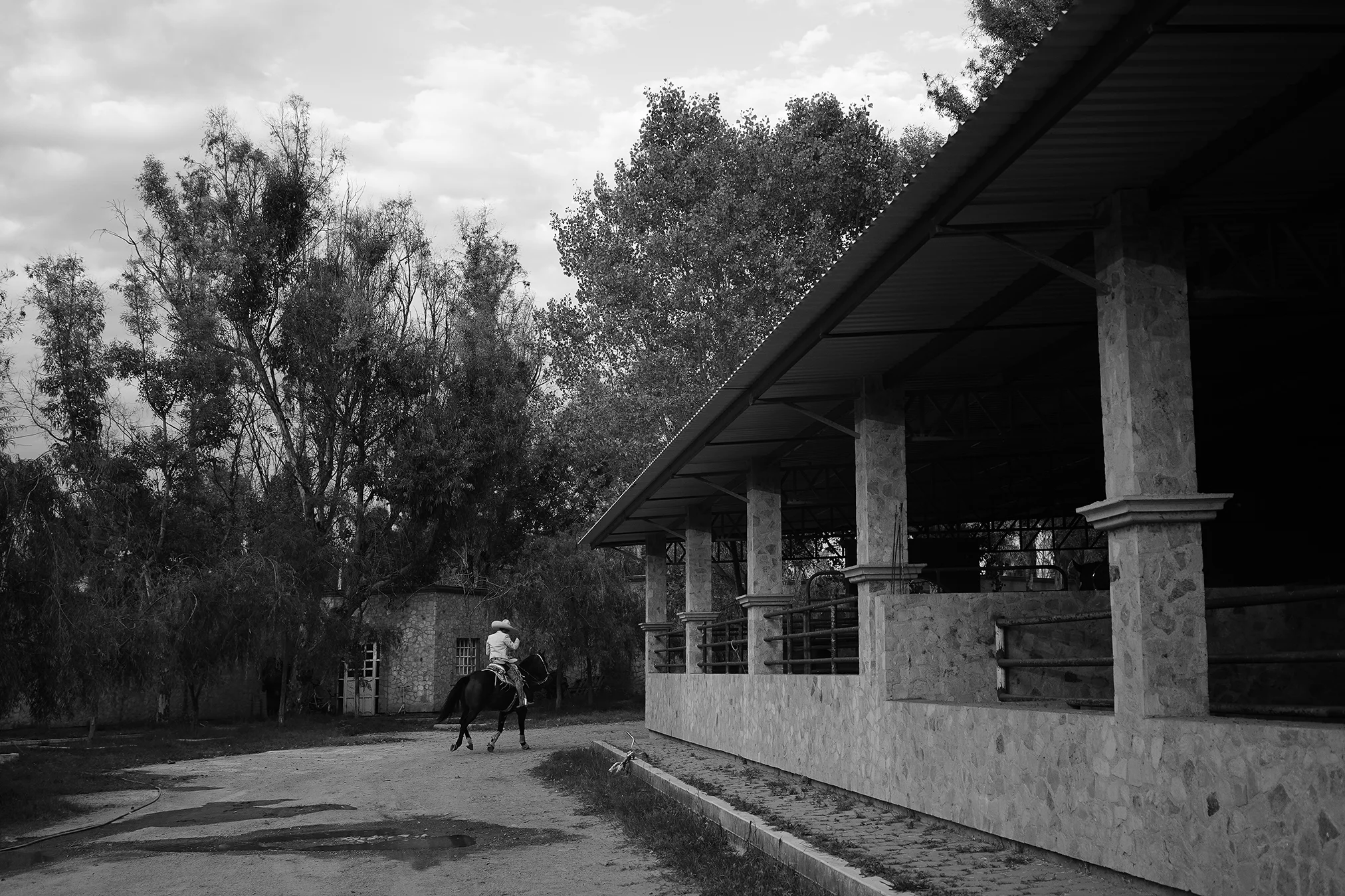 DSC07913BW_web.jpg
