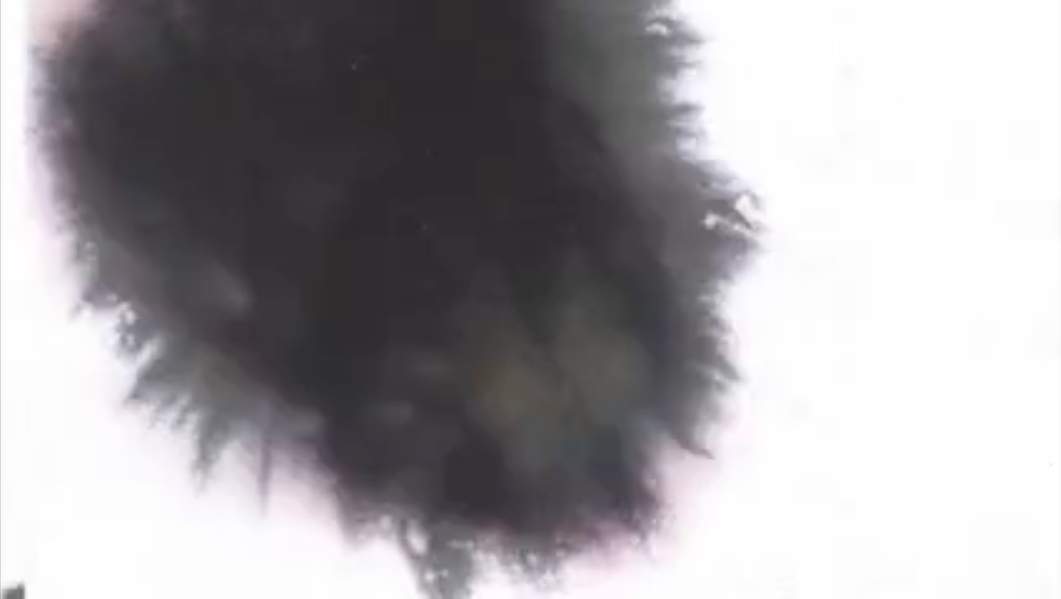 The Driving Force of the Universe Made Visible