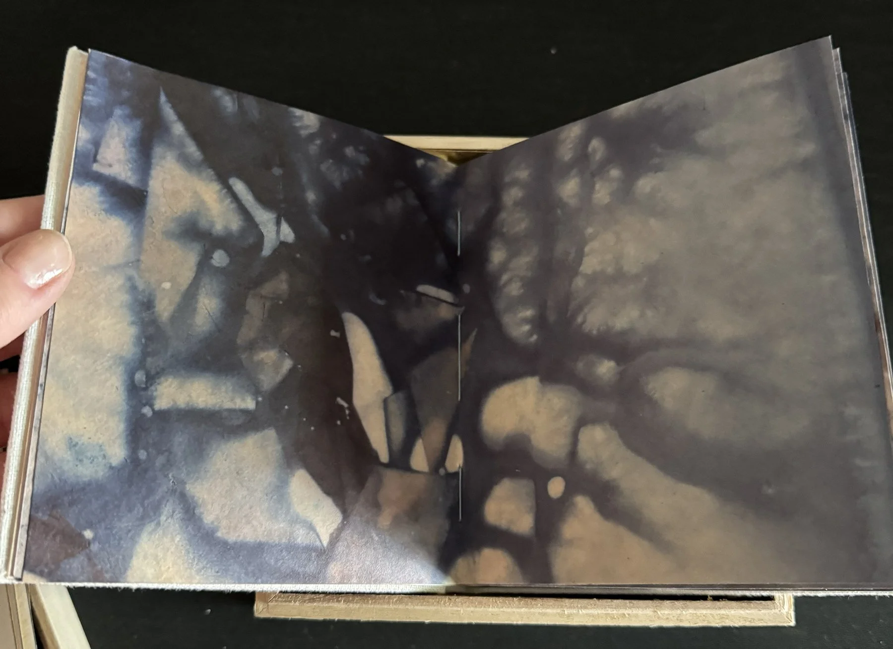 porous open page moody.jpg
