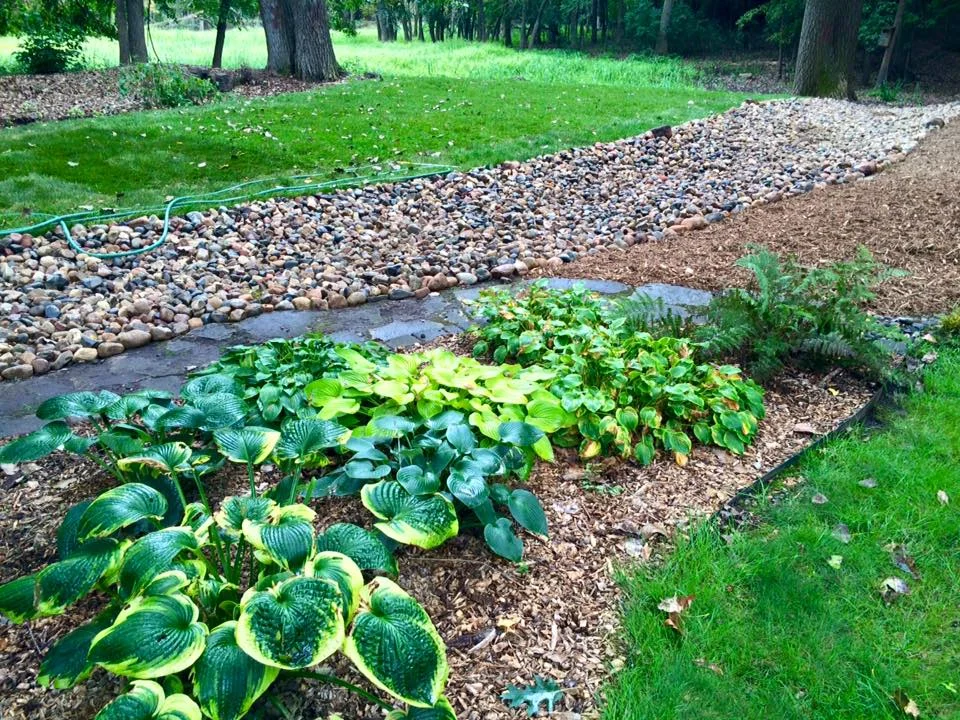 drainage plus landscaping.jpg