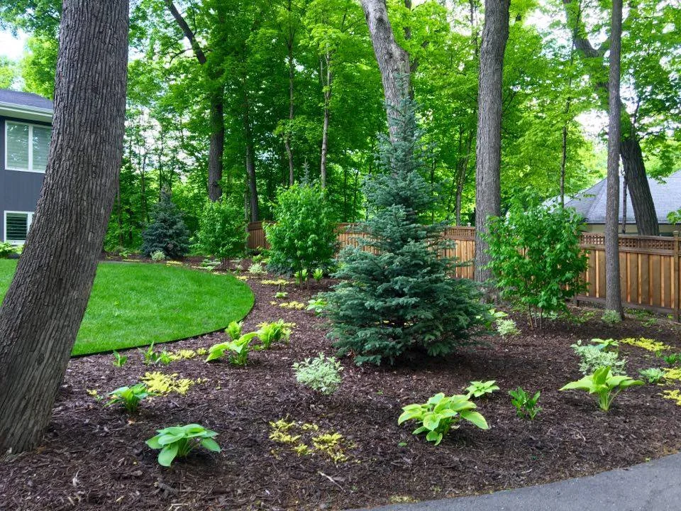 After upper fenceline bed 3.jpg