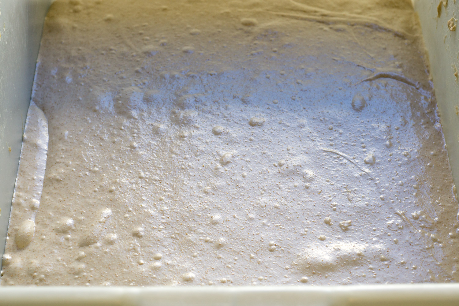 This dough might look like super hydrated slop but it's not actually that wet, just very relaxed. The photo below is the same dough after folding.