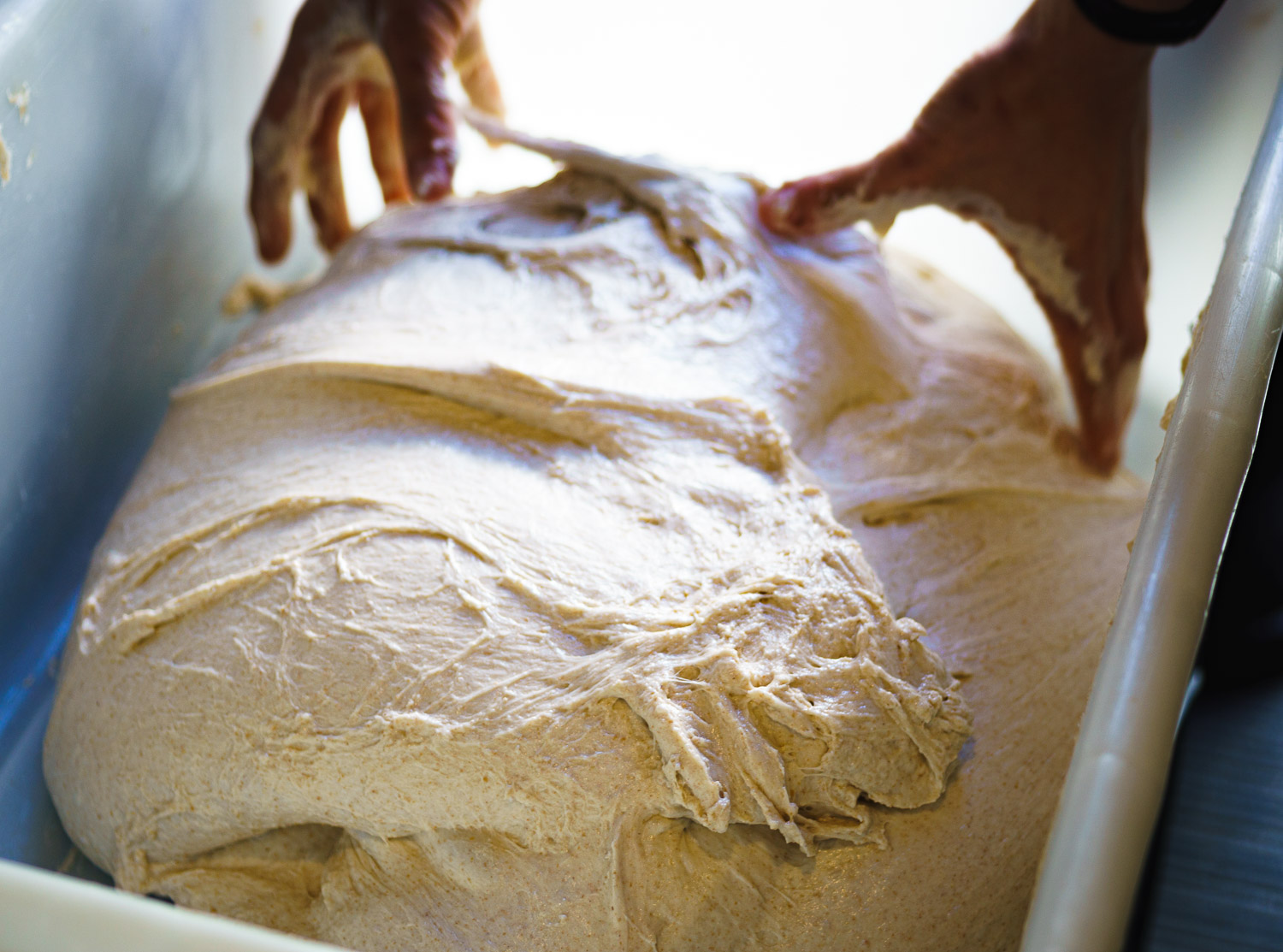 Same dough as above after folding.
