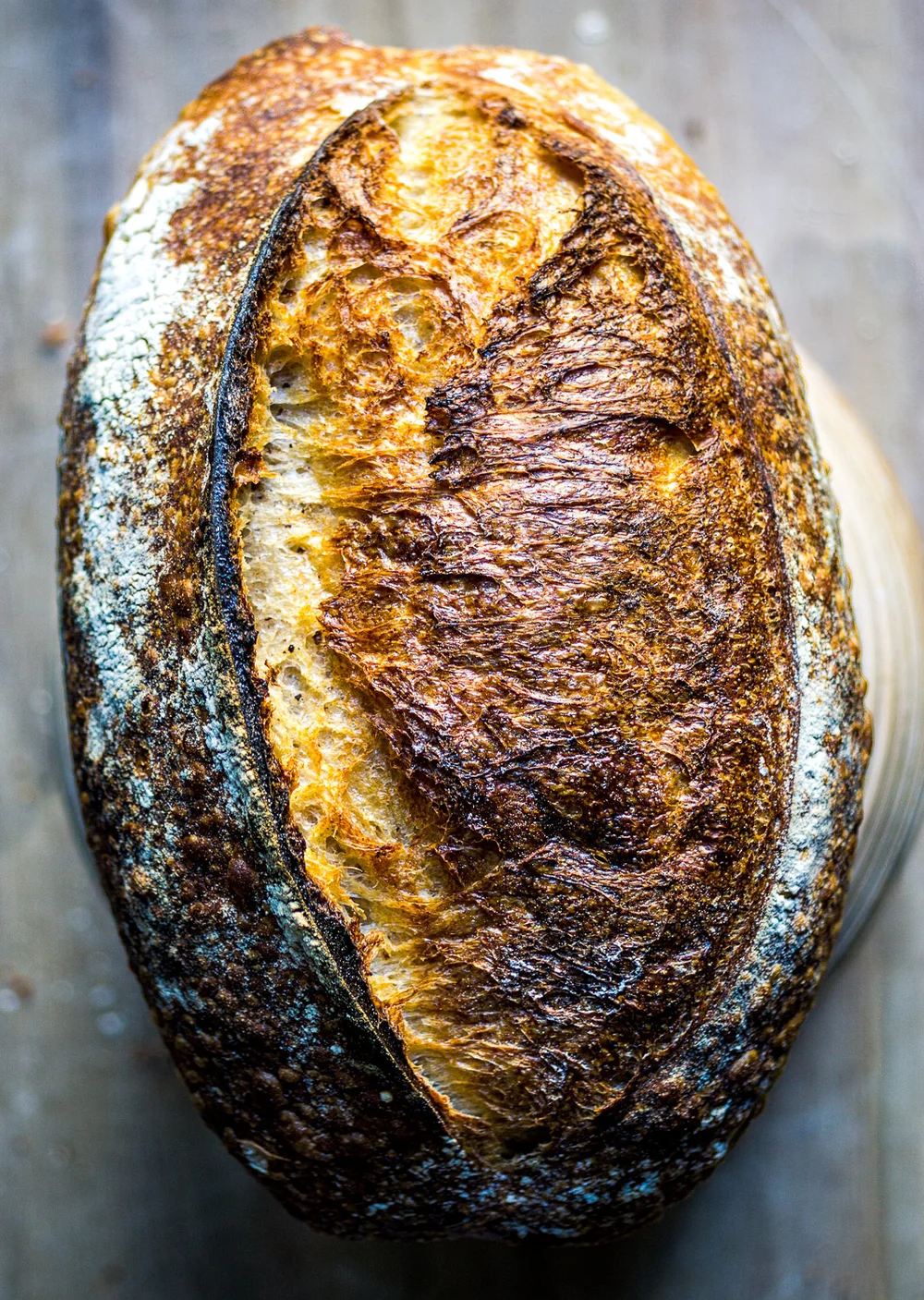 Bread Faq Part 3 Crust Jorgen Carlsen