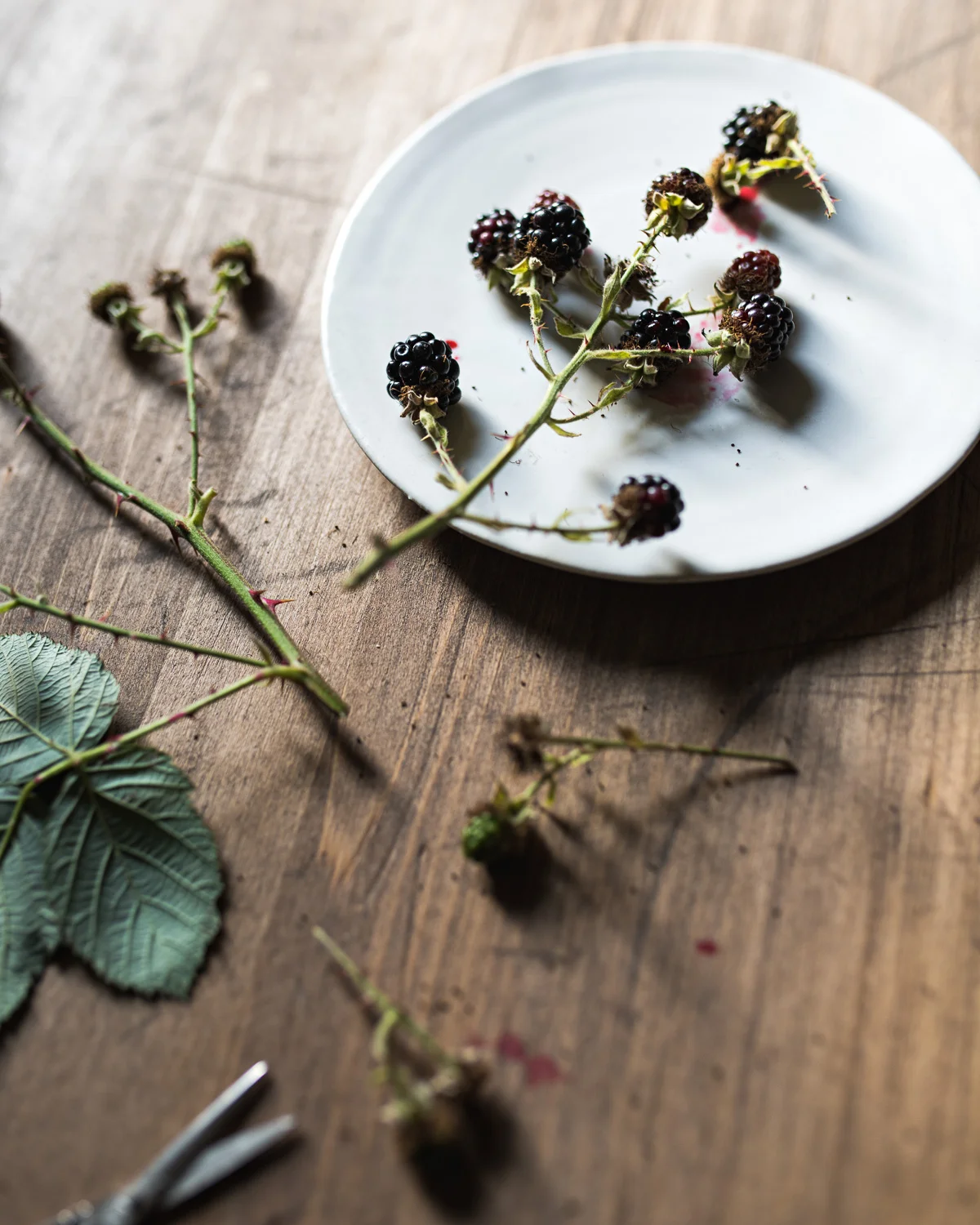 Wild_Blackberries.jpg