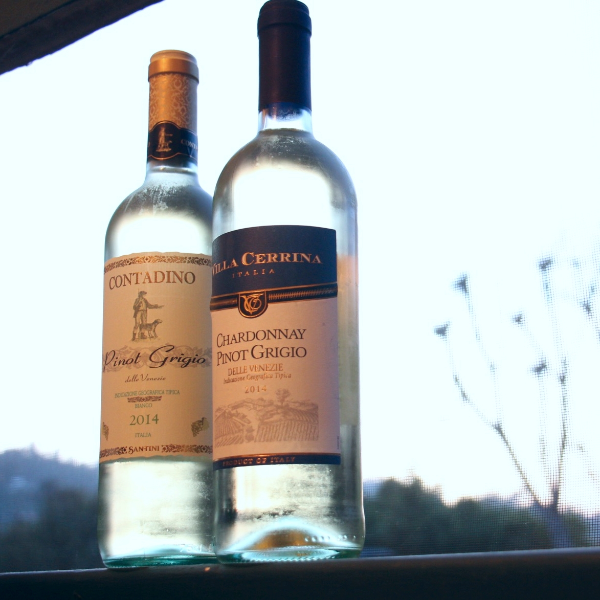 Шардоне австралия белое вино. Вино santa helena varietal chardonnay 0. Пино гриджио вино. Sauvignon & pinot grigio. Пино гриджио просекко.