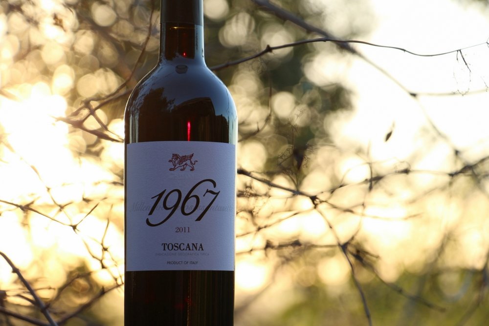 The Wine Idiot Reviews: 1967 Cantina Del Grifone Toscana, 2011 ($4.99) — The Wine Idiot
