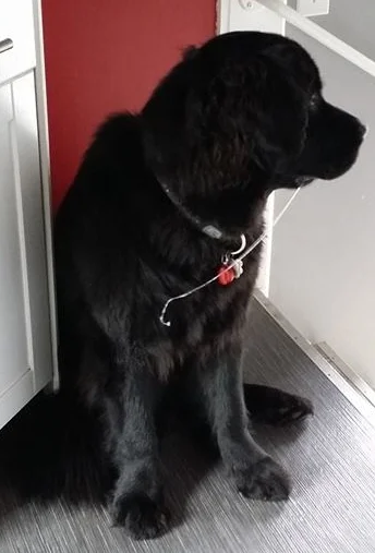 The longest string of drool I've ever seen Lanfear produce