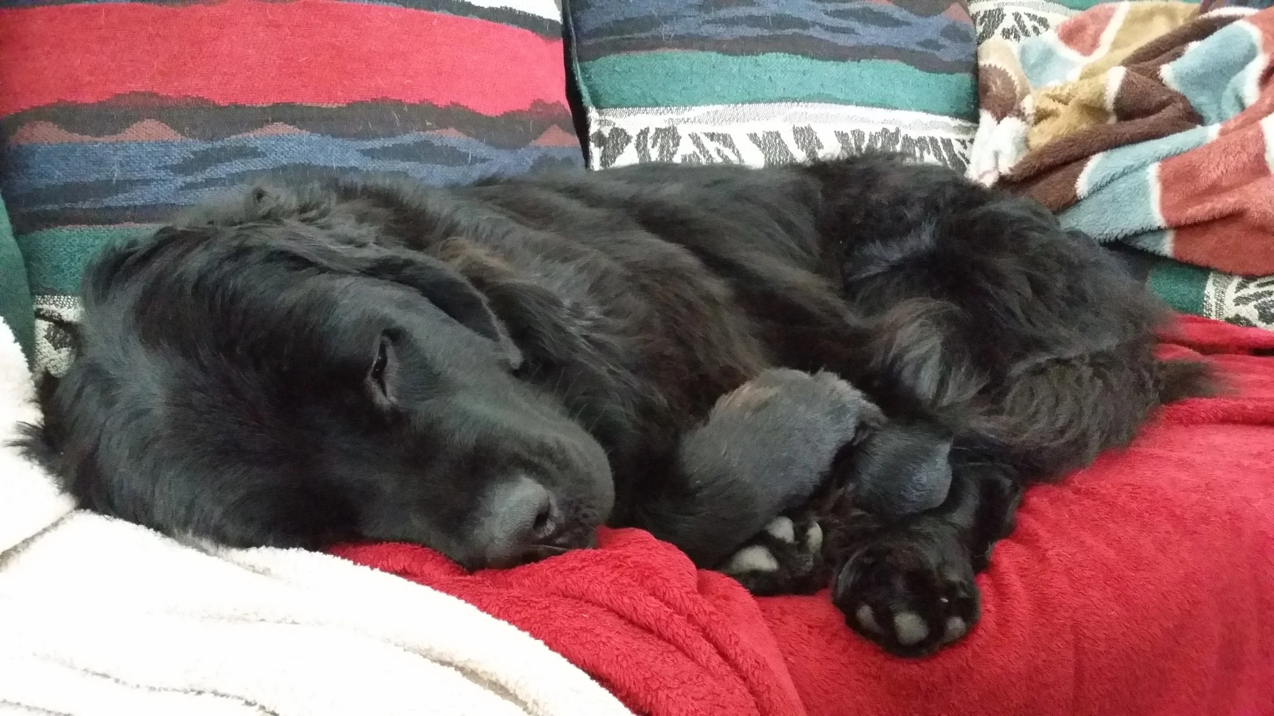 Gone for a Snooze