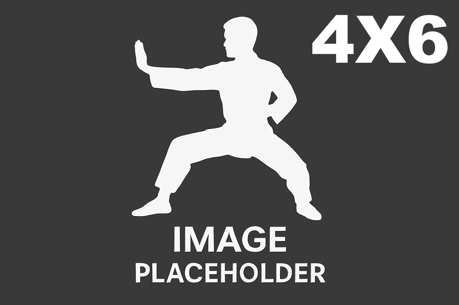 4X6 1.jpg