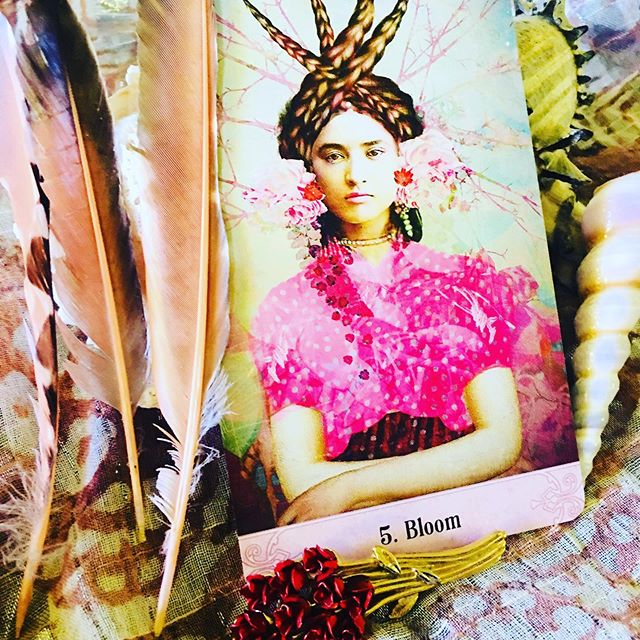 Today&rsquo;s ORACLE MESSAGE - BLOOM 🍀☘️🌳🌷🌺
Hello Lovelies,
The card that popped out today for us all has a bountiful message: &ldquo;She knows what she wants and this certainty blooms out of her being like a bountiful garden. The power of nature