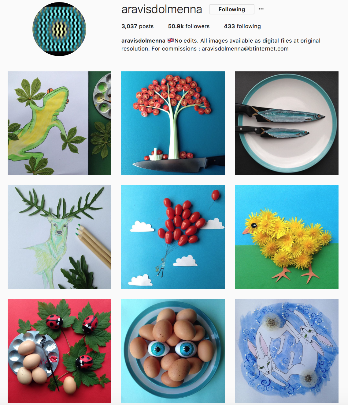 Follow Aravis’ instagram here @aravisdolmenna