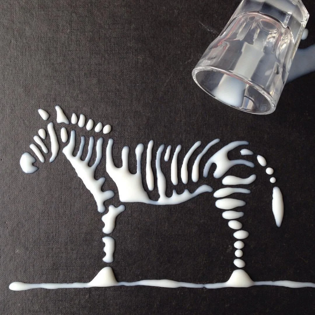 Aravis zebra.jpg