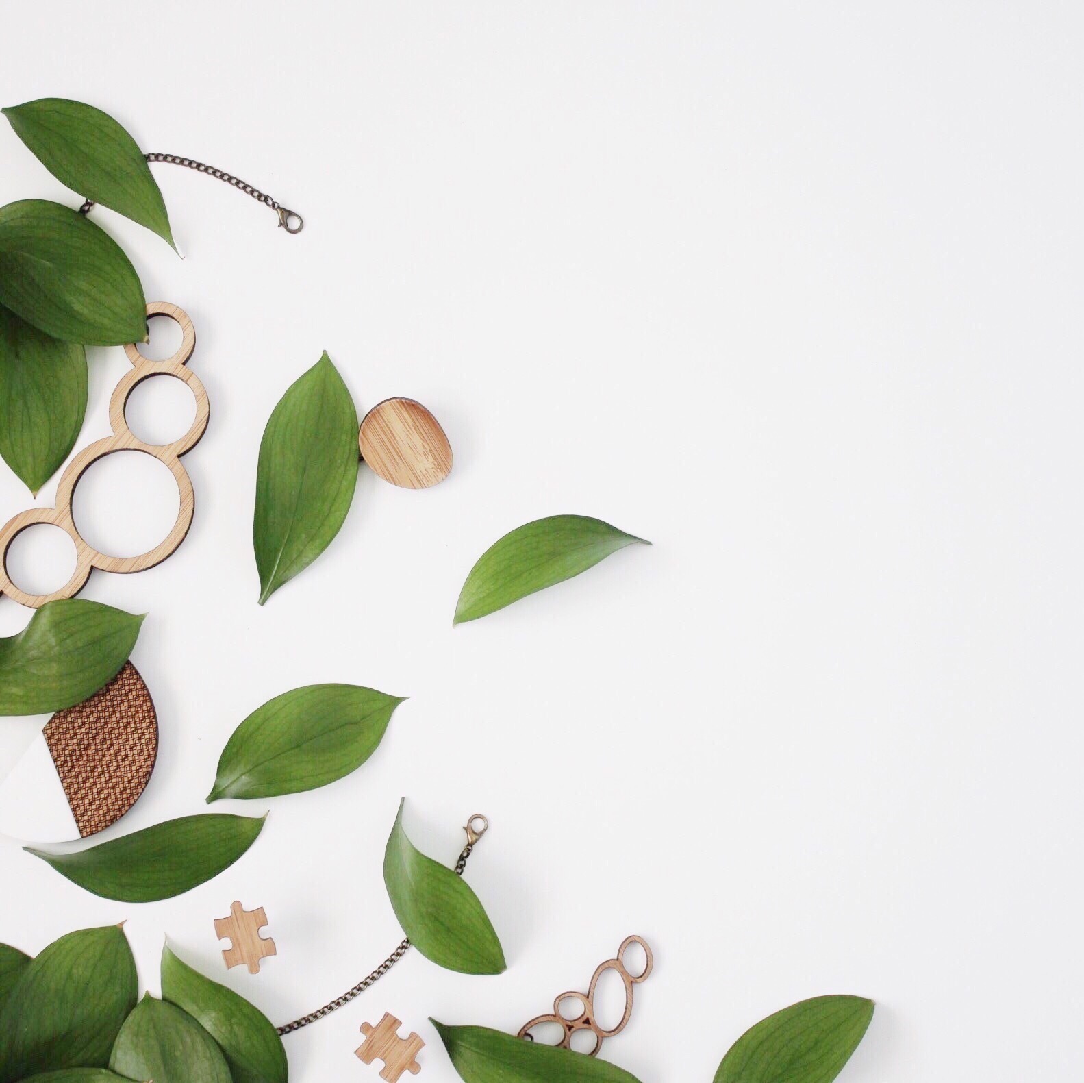 Flatlay using Israeli Ruscus Leaves with timber jewellery from @OneHappyLeaf.
