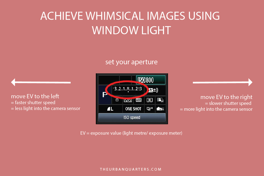 Whimsical images with window light - Light Meter.png
