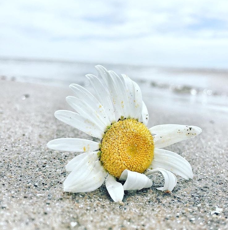 e048d89a6bda-2A8B9392_A80E_462D_9164_E14643471D93.jpeg