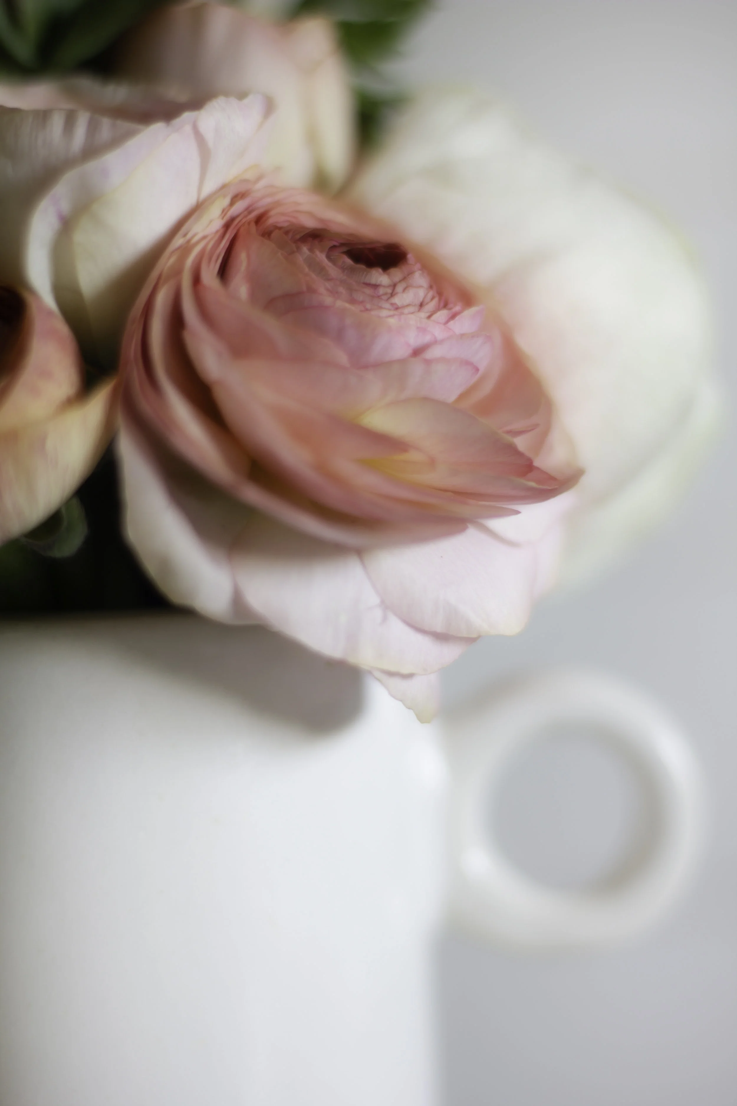 FLOWERS 6.jpg