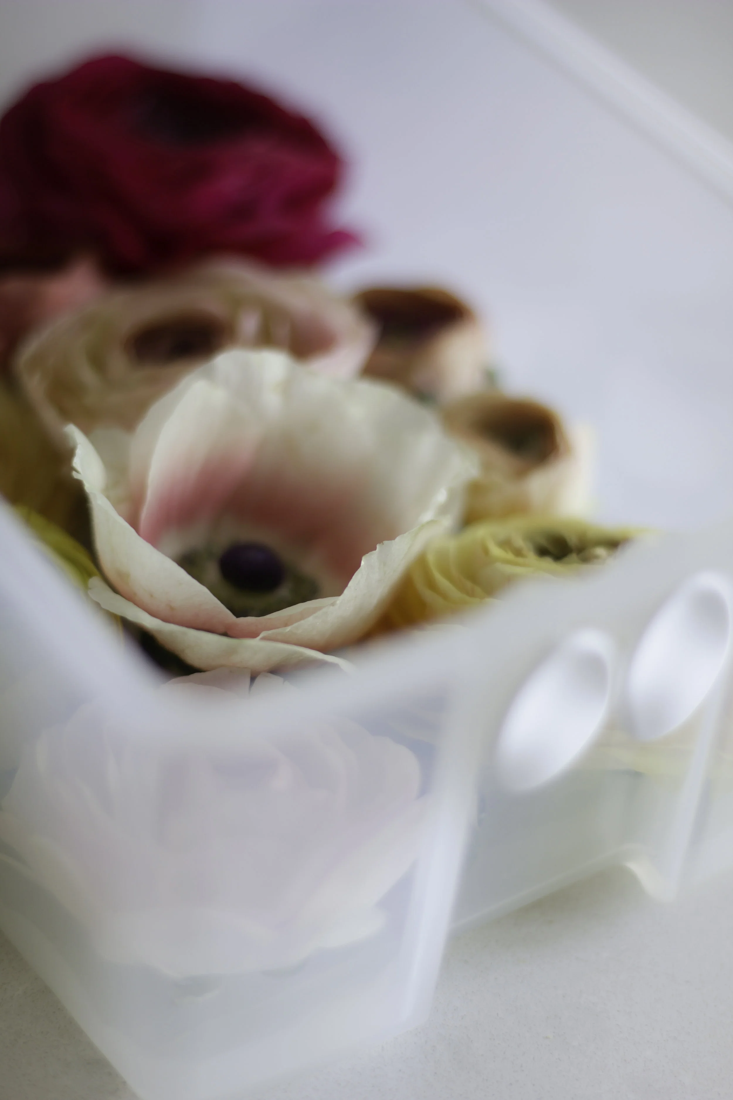 FLOWERS 1.jpg