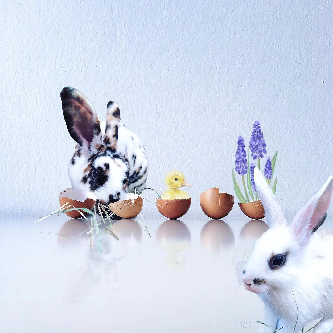 Cuteness overload! Source: @vercitoc via instagram