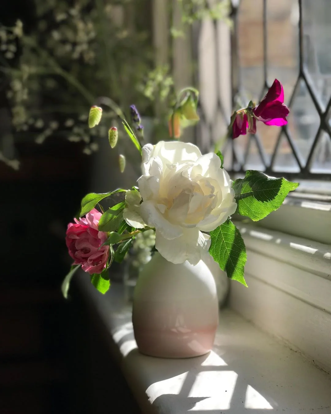 A light filled window cill vignette. Source: @traceyjhunter