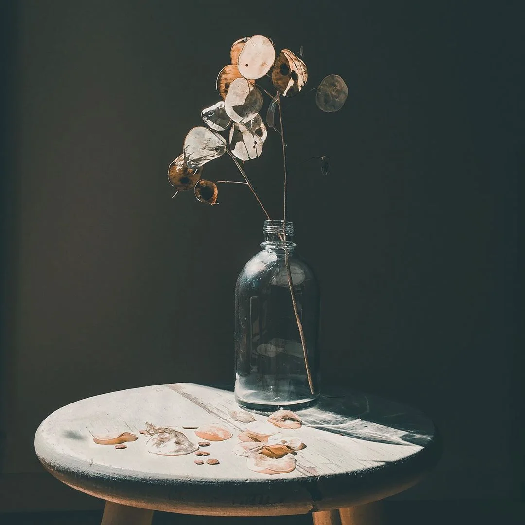 A stunning still life by @annemaree.c