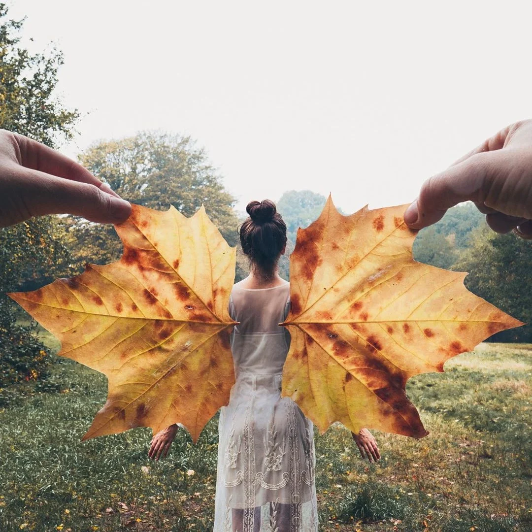 Make the most of fall and use autumn leaves as wings. Source: @kutovakika